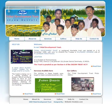 Nestoftribals website preview